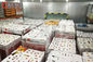 低温の大きい冷蔵室のプロジェクトのチーズ冷凍食品の貯蔵の冷蔵室のフリーザー