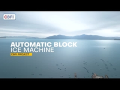 海産物用の15トンの直接冷却ブロックの氷機