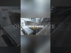 2トン/h トンネル速冷蔵庫
